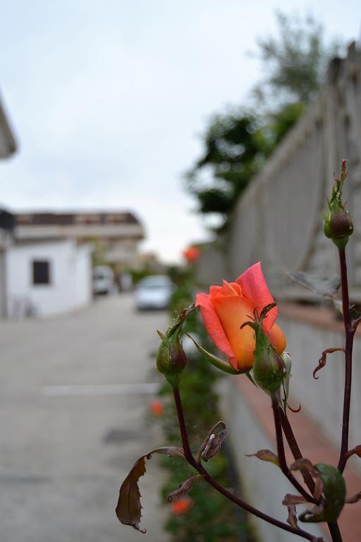 Il Girasole Formia Guesthouse Rooms מראה חיצוני תמונה