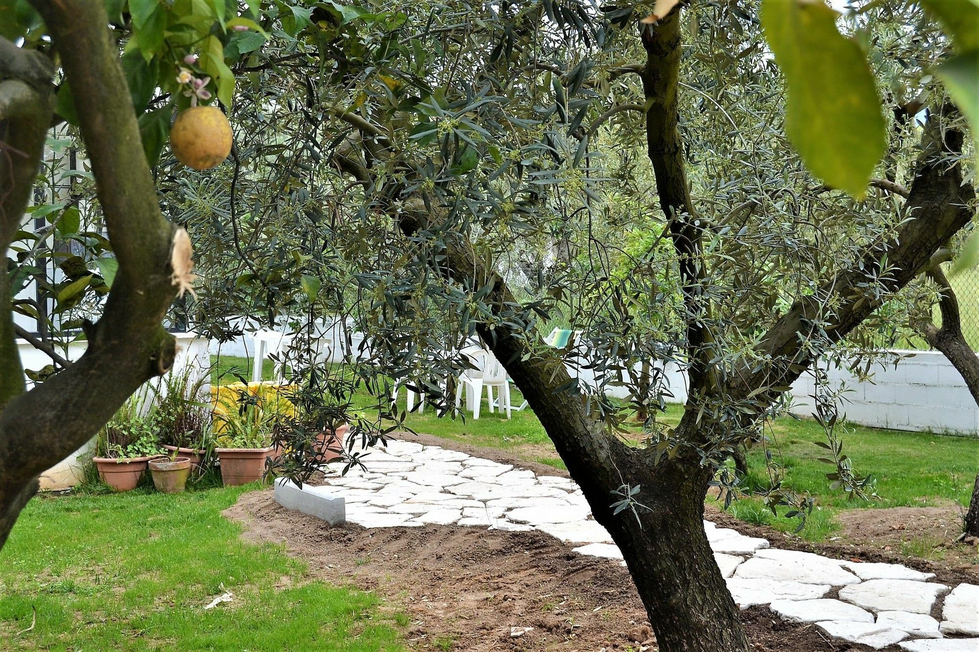 Il Girasole Formia Guesthouse Rooms מראה חיצוני תמונה